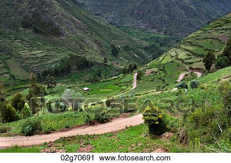 Agricultural field in Sacred Valley, Cusco Region, Peru View Large Photo Image Stock Image - Agricultural field in Sacred Valley, Cusco Region, Peru. Fotosearch