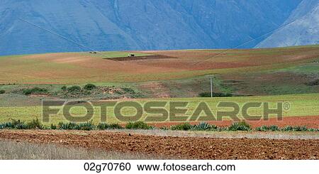 Agricultural field in Sacred Valley, Cusco Region, Peru View Large Photo Image Stock Image - Agricultural field in Sacred Valley, Cusco Region, Peru. Fotosearch