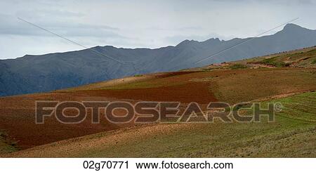 Agricultural field in Sacred Valley, Cusco Region, Peru View Large Photo Image Stock Image - Agricultural field in Sacred Valley, Cusco Region, Peru. Fotosearch