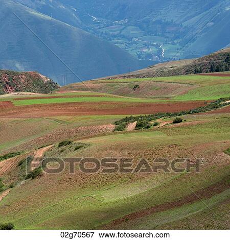 Agricultural field in Sacred Valley, Cusco Region, Peru View Large Photo Image Stock Photo - Agricultural field in Sacred Valley, Cusco Region, Peru. Fotosearch