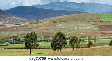 Agricultural field in Sacred Valley, Cusco Region, Peru View Large Photo Image Stock Photo - Agricultural field in Sacred Valley, Cusco Region, Peru. Fotosearch