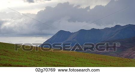 Agricultural field in Sacred Valley, Cusco Region, Peru View Large Photo Image Stock Photo - Agricultural field in Sacred Valley, Cusco Region, Peru. Fotosearch