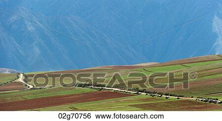 Stock Photograph - Agricultural field in Sacred Valley, Cusco Region, Peru. Fotosearch