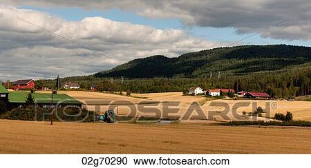 Agricultural fields with mountain in the background, Norway View Large Photo Image Stock Image - Agricultural fields with mountain in the background, Norway. Fotosearch