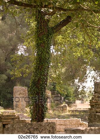 Ancient ruins in Katakolon View Large Photo Image Stock Photography - Ancient ruins in Katakolon. Fotosearch