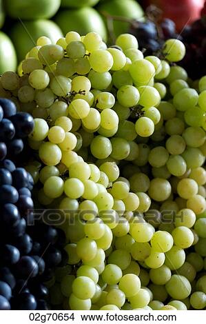 Assorted grapes at market stall in Mercado Central, Cuzco, Peru View Large Photo Image Picture - Assorted grapes at market stall in Mercado Central, Cuzco, Peru. Fotosearch