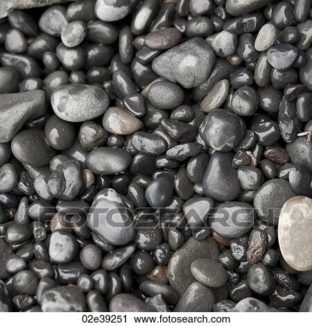 Assorted wet round rock pepples View Large Photo Image Stock Image - Assorted wet round rock pepples. Fotosearch
