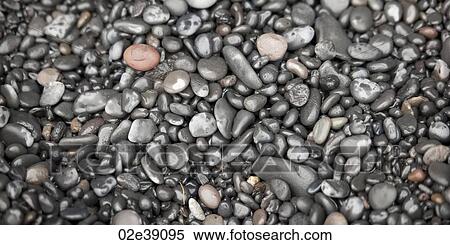 Assorted wet round rock pepples View Large Photo Image Stock Photography - Assorted wet round rock pepples. Fotosearch