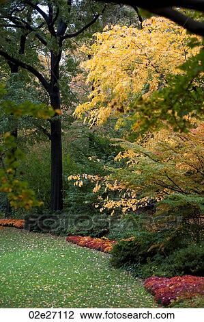 Autumn in Central Park in Manhattan, New York City, U. S. A. View Large Photo Image Stock Image - Autumn in Central Park in Manhattan, New York City, U. S. A.. Fotosearch