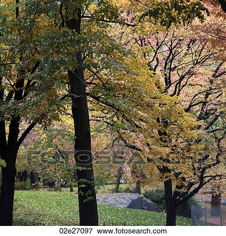 Autumn in Central Park in Manhattan, New York City, U. S. A. View Large Photo Image Stock Photo - Autumn in Central Park in Manhattan, New York City, U. S. A.. Fotosearch