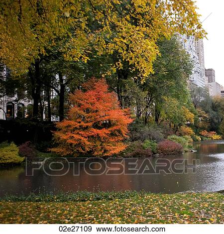 Autumn in Central Park in Manhattan, New York City, U. S. A. View Large Photo Image Stock Photo - Autumn in Central Park in Manhattan, New York City, U. S. A.. Fotosearch