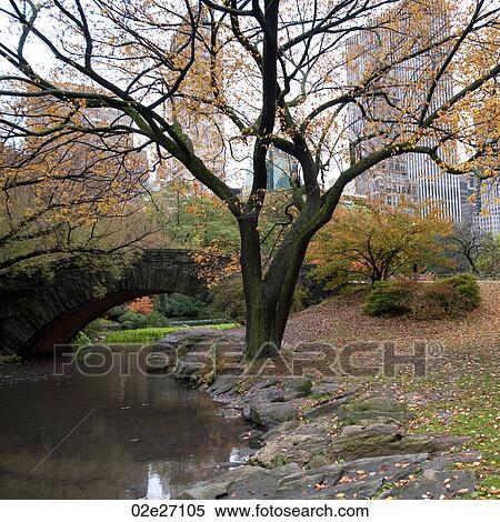 Autumn in Central Park in Manhattan, New York City, U. S. A. View Large Photo Image Stock Photography - Autumn in Central Park in Manhattan, New York City, U. S. A.. Fotosearch