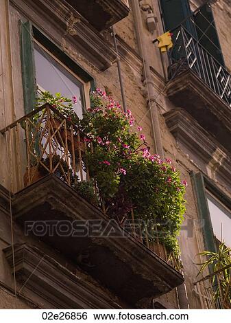 Balcony with flowers in Naples View Large Photo Image Stock Photograph - Balcony with flowers in Naples. Fotosearch