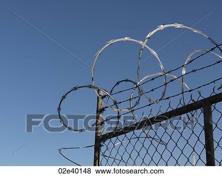 Barbwire on a fence in Vancouver, British Columbia, Canada View Large Photo Image Stock Photo - Barbwire on a fence in Vancouver, British Columbia, Canada. Fotosearch