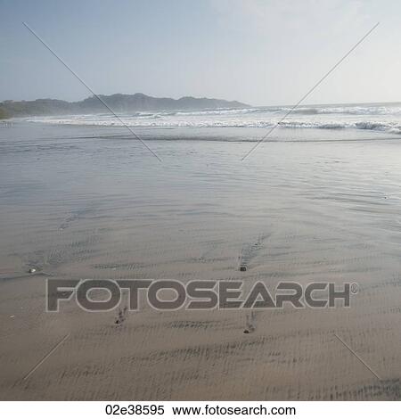 Beach along coastline in Costa Rica View Large Photo Image Stock Photography - Beach along coastline in Costa Rica. Fotosearch