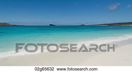 Beach, Gardner Bay, Espanola Island, Galapagos Islands, Ecuador View Large Photo Image Stock Image - Beach, Gardner Bay, Espanola Island, Galapagos Islands, Ecuador. Fotosearch