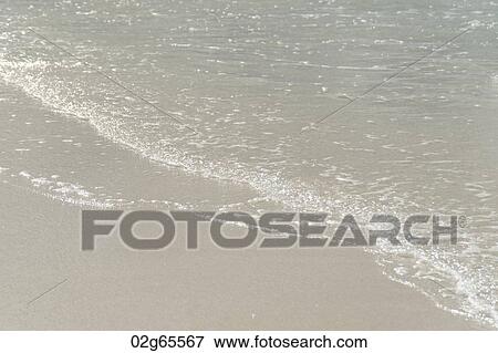 Beach, Gardner Bay, Espanola Island, Galapagos Islands, Ecuador View Large Photo Image Stock Photo - Beach, Gardner Bay, Espanola Island, Galapagos Islands, Ecuador. Fotosearch
