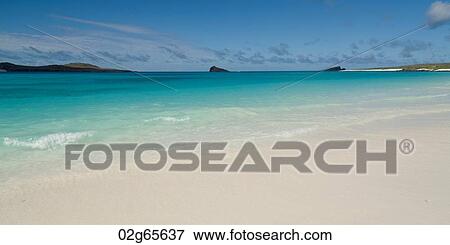 Beach, Gardner Bay, Espanola Island, Galapagos Islands, Ecuador View Large Photo Image Stock Photo - Beach, Gardner Bay, Espanola Island, Galapagos Islands, Ecuador. Fotosearch