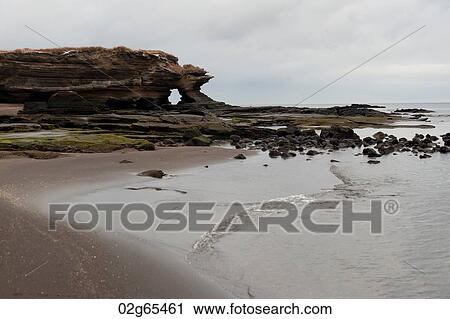 Beach, Puerto Egas, Santiago Island, Galapagos Islands, Ecuador View Large Photo Image Stock Image - Beach, Puerto Egas, Santiago Island, Galapagos Islands, Ecuador. Fotosearch