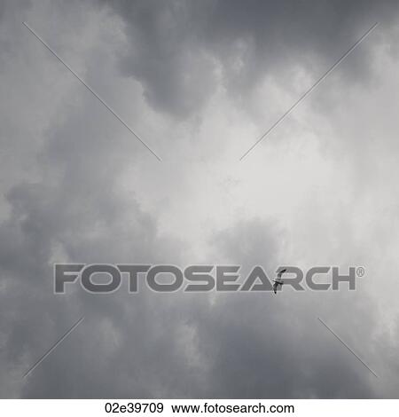 Stock Photo - Bird in flight and storm clouds over Lake of the Woods, Ontario. Fotosearch