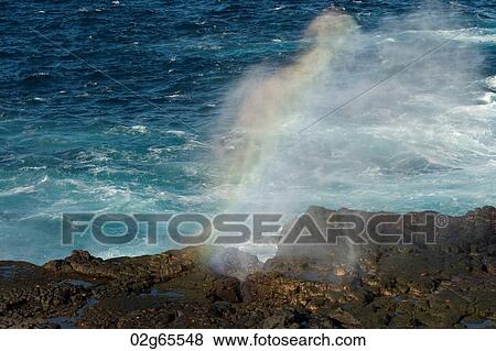 Blow hole on the coast, Punta Suarez, Espanola Island, Galapagos Islands, Ecuador View Large Photo Image Stock Photo - Blow hole on the coast, Punta Suarez, Espanola Island, Galapagos Islands, Ecuador. Fotosearch