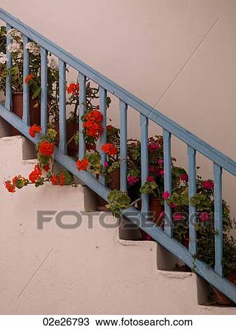 Blue rail and flowers in Mykonos Greece View Large Photo Image Stock Image - Blue rail and flowers in Mykonos Greece. Fotosearch