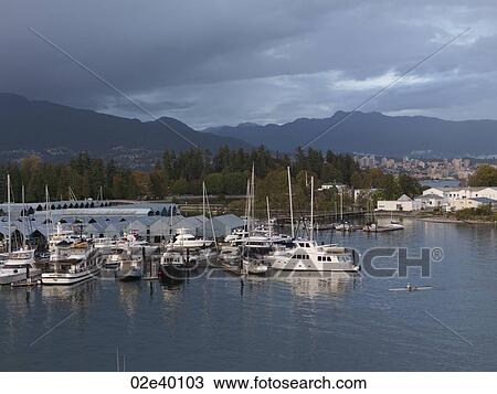 Boats in the marina in Vancouver, British Columbia View Large Photo Image Stock Image - Boats in the marina in Vancouver, British Columbia. Fotosearch