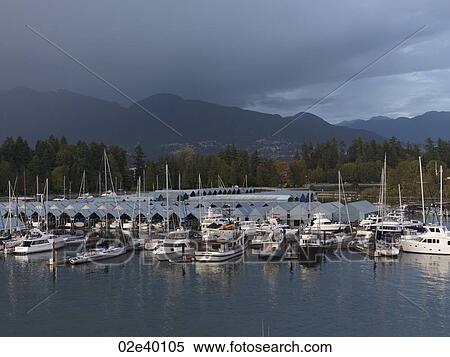 Boats in the marina in Vancouver, British Columbia, Canada View Large Photo Image Stock Photography - Boats in the marina in Vancouver, British Columbia, Canada. Fotosearch