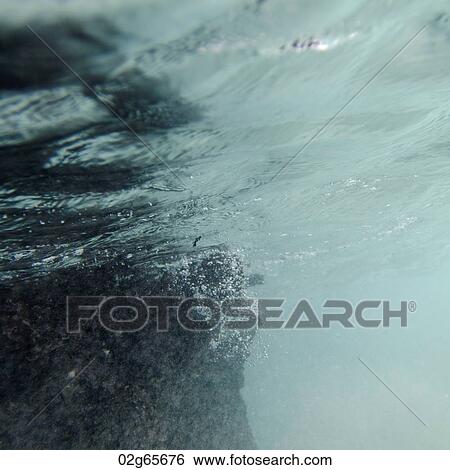 Bubbles underwater, Puerto Egas, Santiago Island, Galapagos Islands, Ecuador View Large Photo Image Stock Photograph - Bubbles underwater, Puerto Egas, Santiago Island, Galapagos Islands, Ecuador. Fotosearch