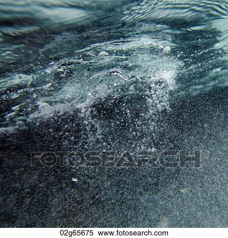 Bubbles underwater, Puerto Egas, Santiago Island, Galapagos Islands, Ecuador View Large Photo Image Stock Photography - Bubbles underwater, Puerto Egas, Santiago Island, Galapagos Islands, Ecuador. Fotosearch
