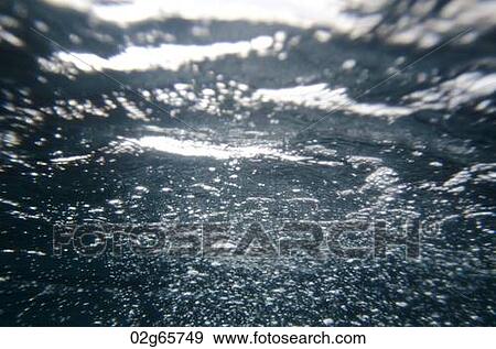 Bubbles underwater, San Cristobal Island, Galapagos Islands, Ecuador View Large Photo Image Stock Photo - Bubbles underwater, San Cristobal Island, Galapagos Islands, Ecuador. Fotosearch