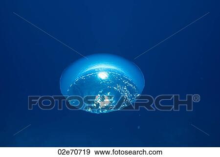 Stock Photo - Bubbles underwater. Fotosearch