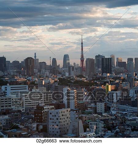 Buildings in a city with Tokyo Tower in the background, Tokyo, Japan View Large Photo Image Stock Image - Buildings in a city with Tokyo Tower in the background, Tokyo, Japan. Fotosearch