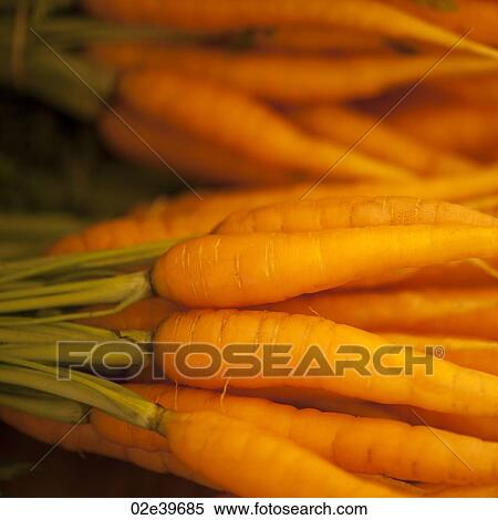 Bunch of fresh carrots View Large Photo Image Stock Photography - Bunch of fresh carrots. Fotosearch