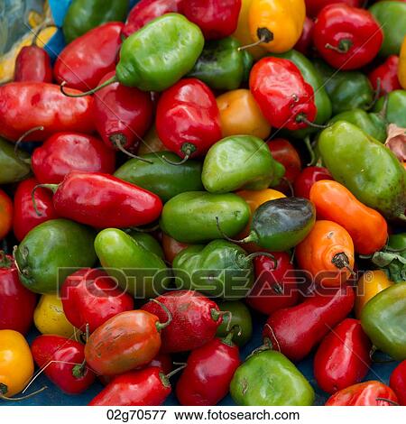 Chili pepper for sale at a market stall in Pisac, Sacred Valley, Cusco Region, Peru View Large Photo Image Stock Photo - Chili pepper for sale at a market stall in Pisac, Sacred Valley, Cusco Region, Peru. Fotosearch