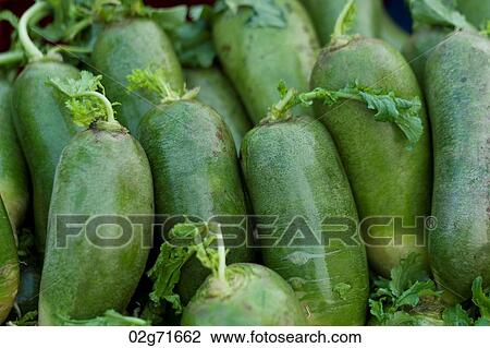 Chinese melons at a market stall, Binhai, Tianjin, China View Large Photo Image Stock Image - Chinese melons at a market stall, Binhai, Tianjin, China. Fotosearch