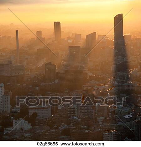 City viewed from the Tokyo Tower at dusk, Minato Ward, Tokyo, Japan View Large Photo Image Stock Photography - City viewed from the Tokyo Tower at dusk, Minato Ward, Tokyo, Japan. Fotosearch