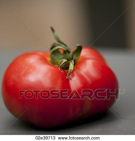 Close up of a fresh red tomato View Large Photo Image Stock Image - Close up of a fresh red tomato. Fotosearch