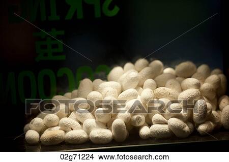 Close-up of cocoons in a silk factory, Suzhou, Jiangsu Province, China View Large Photo Image Picture - Close-up of cocoons in a silk factory, Suzhou, Jiangsu Province, China. Fotosearch