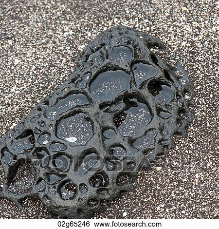 Close-up of lava rock, Puerto Egas, Santiago Island, Galapagos Islands, Ecuador View Large Photo Image Stock Photograph - Close-up of lava rock, Puerto Egas, Santiago Island, Galapagos Islands, Ecuador. Fotosearch