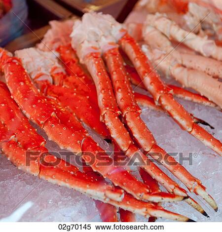 Close-up of lobsters legs at a market stall, Bergen, Norway View Large Photo Image Stock Photography - Close-up of lobsters legs at a market stall, Bergen, Norway. Fotosearch