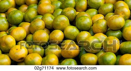 Close-up of oranges, Shanghai, China View Large Photo Image Picture - Close-up of oranges, Shanghai, China. Fotosearch