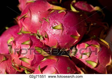 Stock Image - Close-up of pitayas, Chiang Mai, Thailand. Fotosearch
