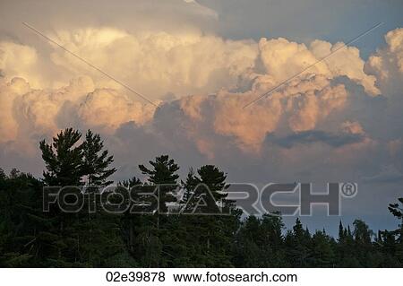 Clouds in the twilight sky over Lake of the Woods, Ontario View Large Photo Image Stock Photo - Clouds in the twilight sky over Lake of the Woods, Ontario. Fotosearch
