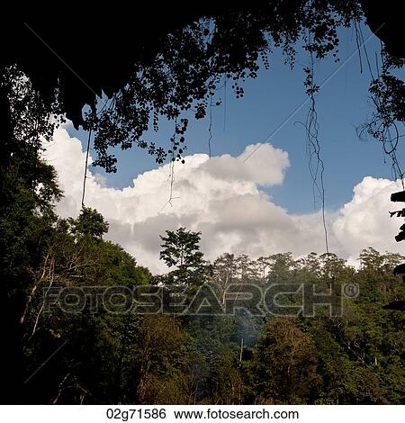 Clouds over a forest, Thailand View Large Photo Image Stock Photograph - Clouds over a forest, Thailand. Fotosearch