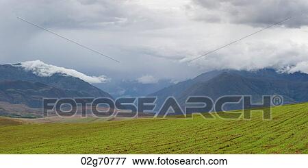Clouds over an agricultural field, Sacred Valley, Cusco Region, Peru View Large Photo Image Stock Photo - Clouds over an agricultural field, Sacred Valley, Cusco Region, Peru. Fotosearch