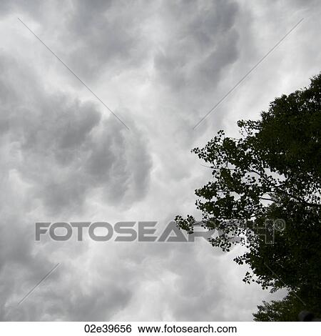 Clouds over Lake of the Woods, Ontario View Large Photo Image Stock Photograph - Clouds over Lake of the Woods, Ontario. Fotosearch