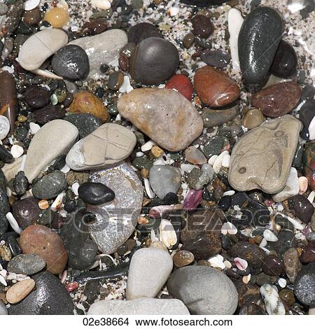 Picture - Coloured stones and pebbles along the shoreline in Costa Rica. Fotosearch