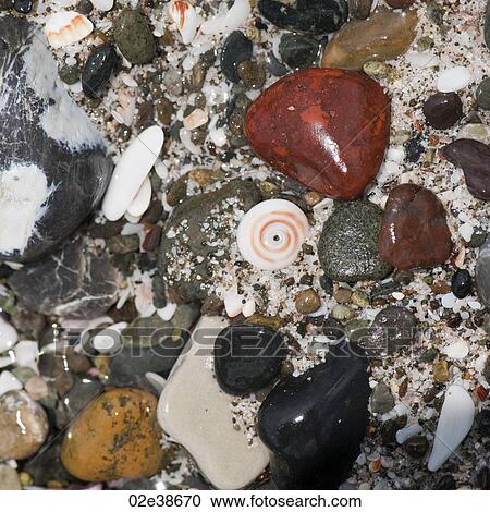 Coloured stones and pebbles along the shoreline in Costa Rica View Large Photo Image Stock Image - Coloured stones and pebbles along the shoreline in Costa Rica. Fotosearch