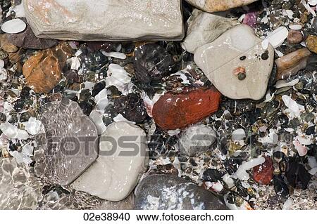Coloured stones and pebbles along the shoreline in Costa Rica View Large Photo Image Stock Image - Coloured stones and pebbles along the shoreline in Costa Rica. Fotosearch